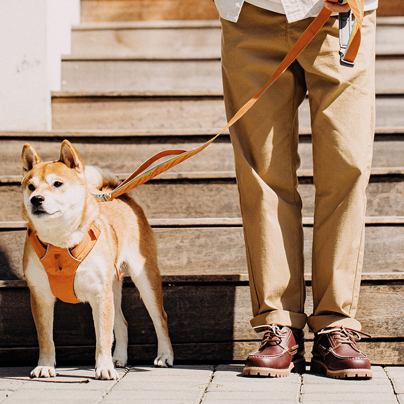 マデン メンズ ヴィンテージ ボートシューズ レースアップ  - Men Formal Wear With Boots のレビューと価格